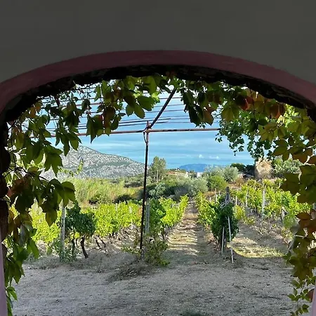 Gorropu Tiscali Dorgali